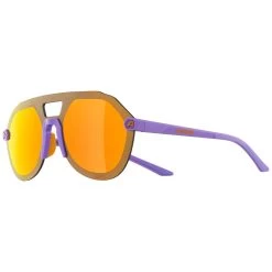 Alpina Beam II Sunglasses
