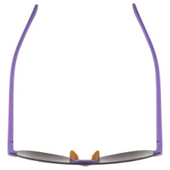 Alpina Beam II Sunglasses -Cycling clothing store alpina beam ii sunglasses 4