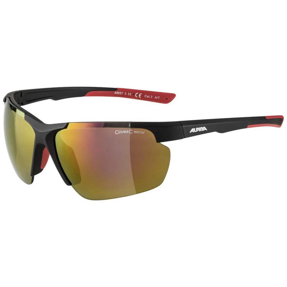 Alpina Defey HR Mirror Sunglasses 3 Alpina Defey HR Mirror Sunglasses
