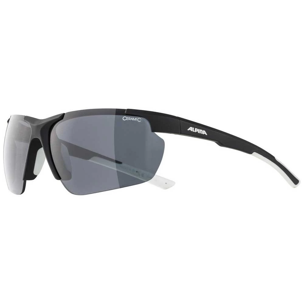 Alpina Defey HR Sunglasses 4 Alpina Defey HR Sunglasses - Image 2