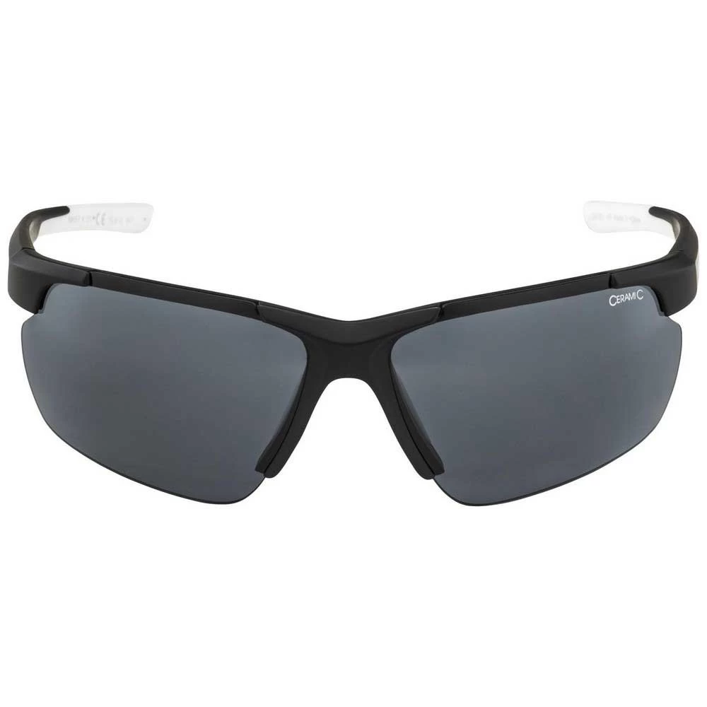 Alpina Defey HR Sunglasses 5 Alpina Defey HR Sunglasses - Image 3