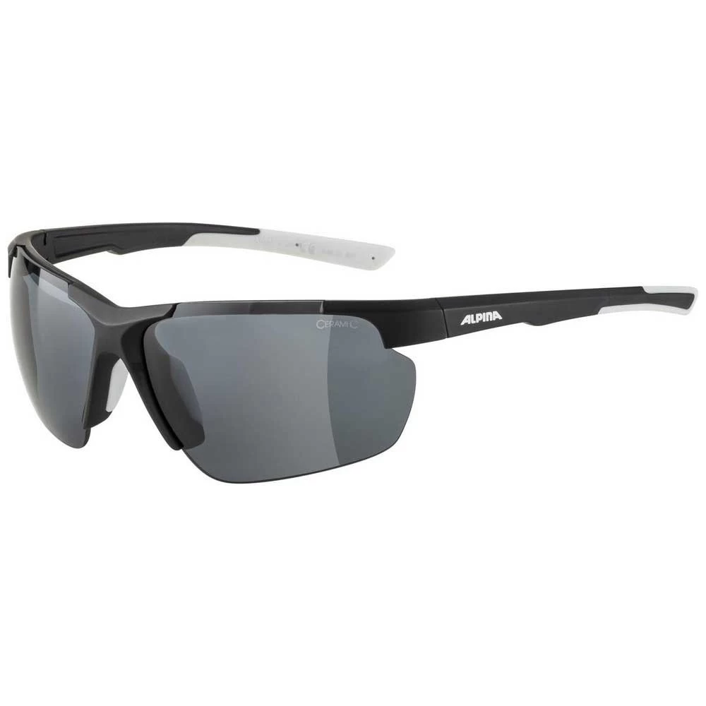 Alpina Defey HR Sunglasses 3 Alpina Defey HR Sunglasses