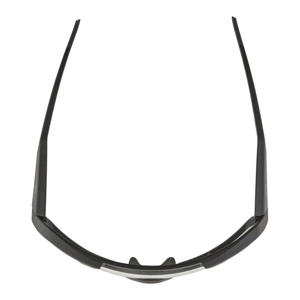 Alpina Rocket Sunglasses 5 Alpina Rocket Sunglasses - Image 3