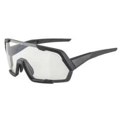 Alpina Rocket Sunglasses