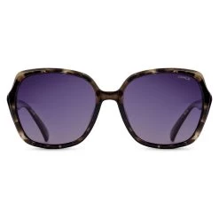 SINNER Montara Sunglasses -Cycling clothing store sinner montara sunglasses 2